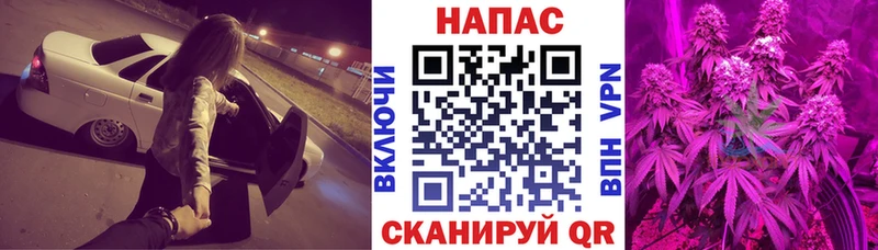 Где продают наркотики Шатура Гашиш COCAIN Меф мяу мяу