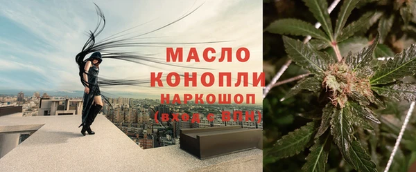спиды Дмитровск