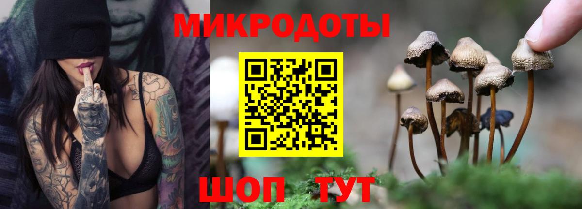 Шатура  Псилоцибиновые грибы Magic Shrooms  Псилоцибиновые грибы Cubensis  Вход с VPN 
